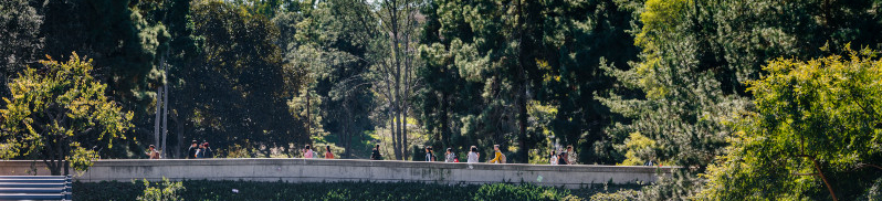 UCI students crossing bridge